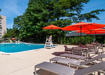 Swimming Pool With Sun Deck